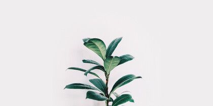 Всё о посевах в Telegram и ВКонтакте: от выбора способа посева до соблюдения закона о маркировке рекламы