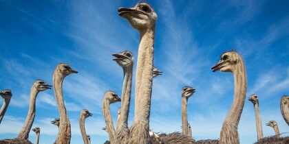 За что отвечает подрядчик в интернет-маркетинге и почему это важно знать