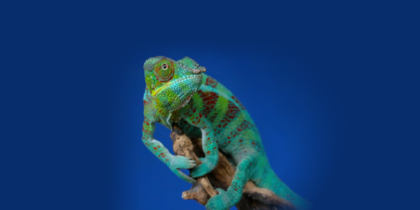 Адаптация мобильного маркетинга: альтернативы Google Play и App Store и косвенные каналы привлечения