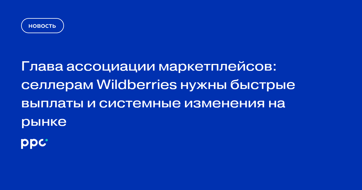 Глава ассоциации маркетплейсов: селлерам Wildberries нужны быстрые выплаты и системные изменения на рынке