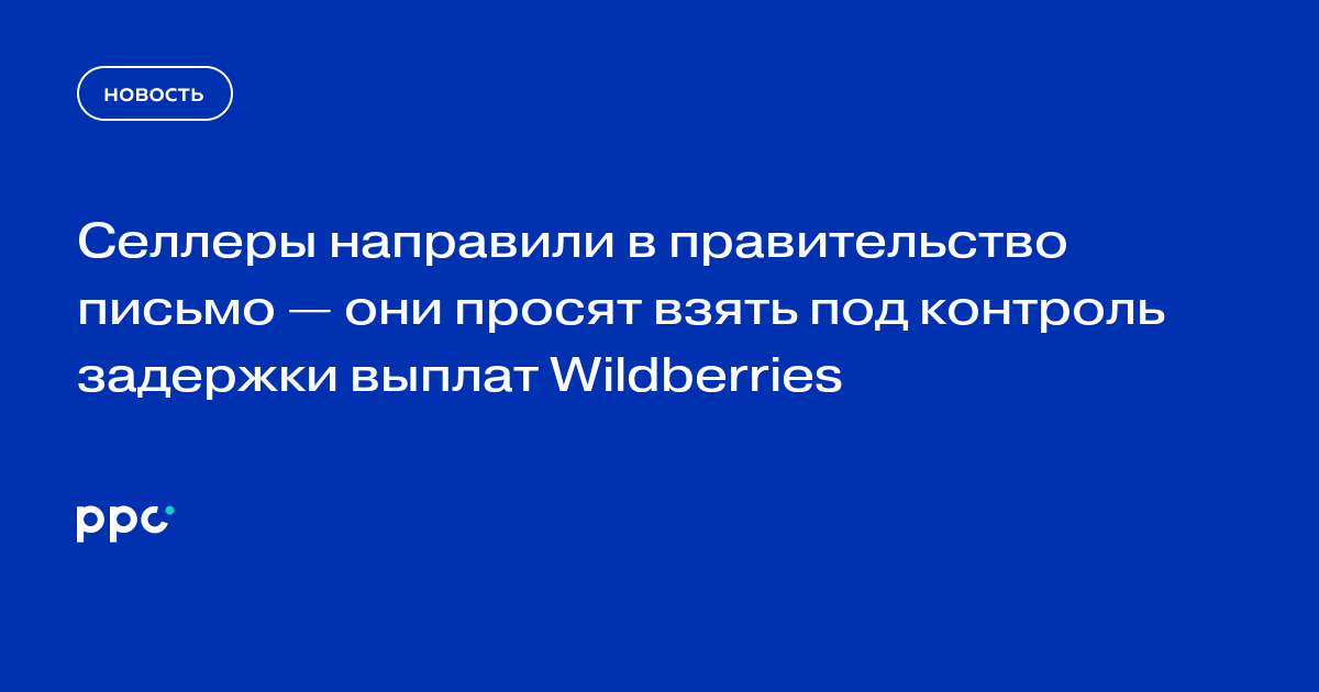 Селлеры направили в правительство письмо — они просят взять под контроль задержки выплат Wildberries