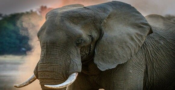 Масштабирование рекламных кампаний во «ВКонтакте»