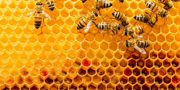 Используем микроконверсии при управлении ставками правильно