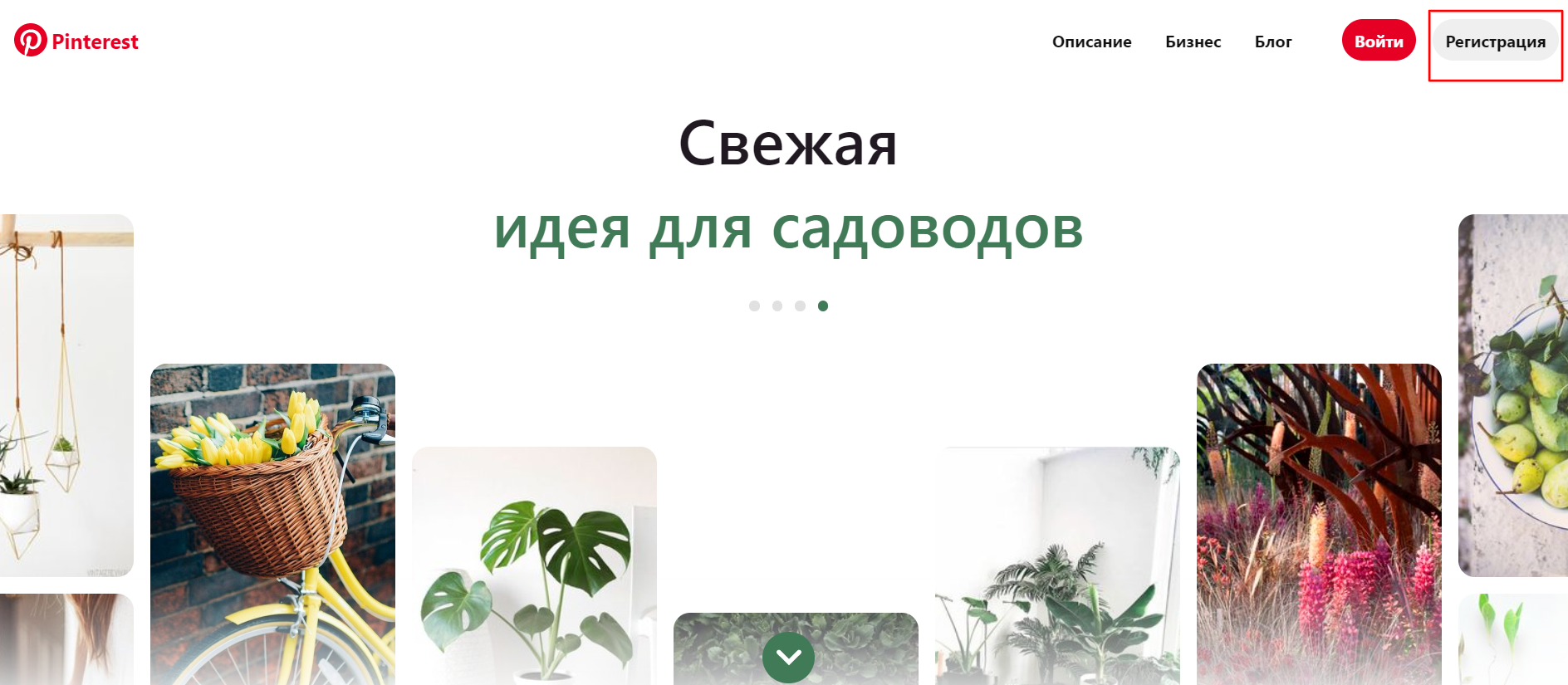 Обзор Pinterest