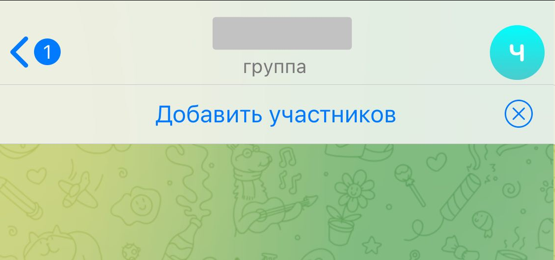 участники группы в тг