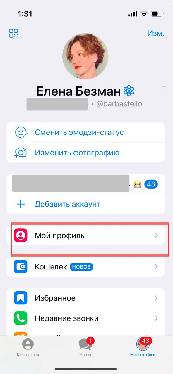 Источник: скриншот профиля автора статьи в Telegram на Iphone где найти ссылку на свой профиль в тг в приложении