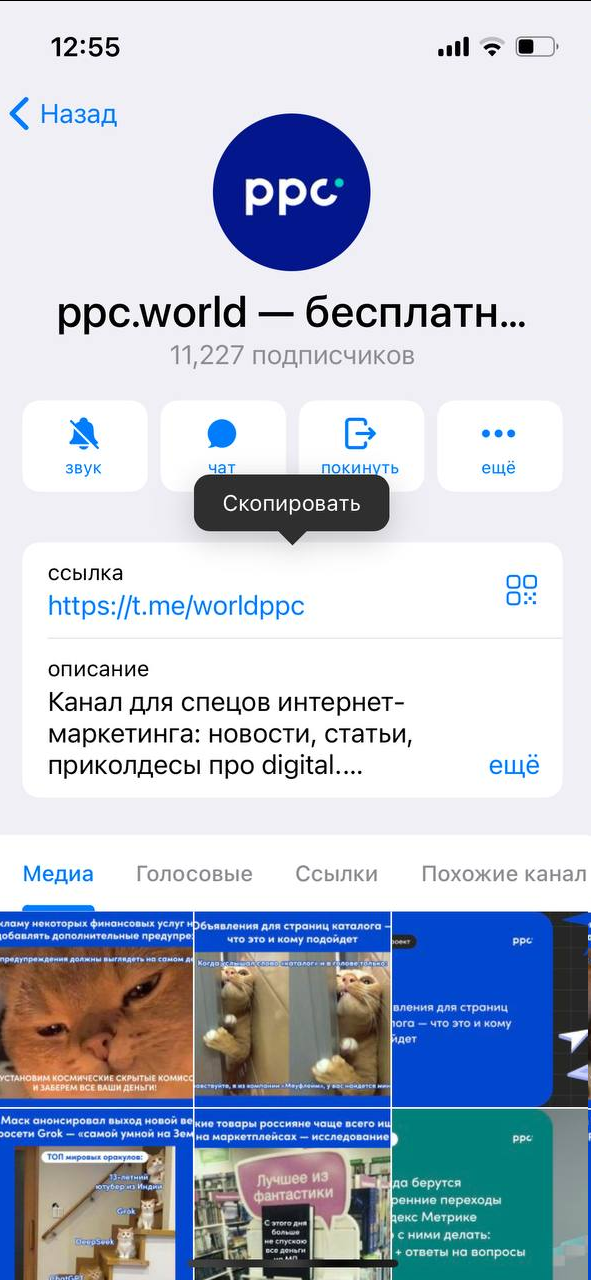 Источник: скриншот Telegram-канала ppc.world на Iphone создать ссылку в тг