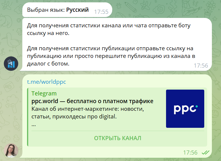 бот Тг Стат