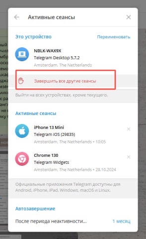 Источник: скриншот настроек мессенджера на iPhone