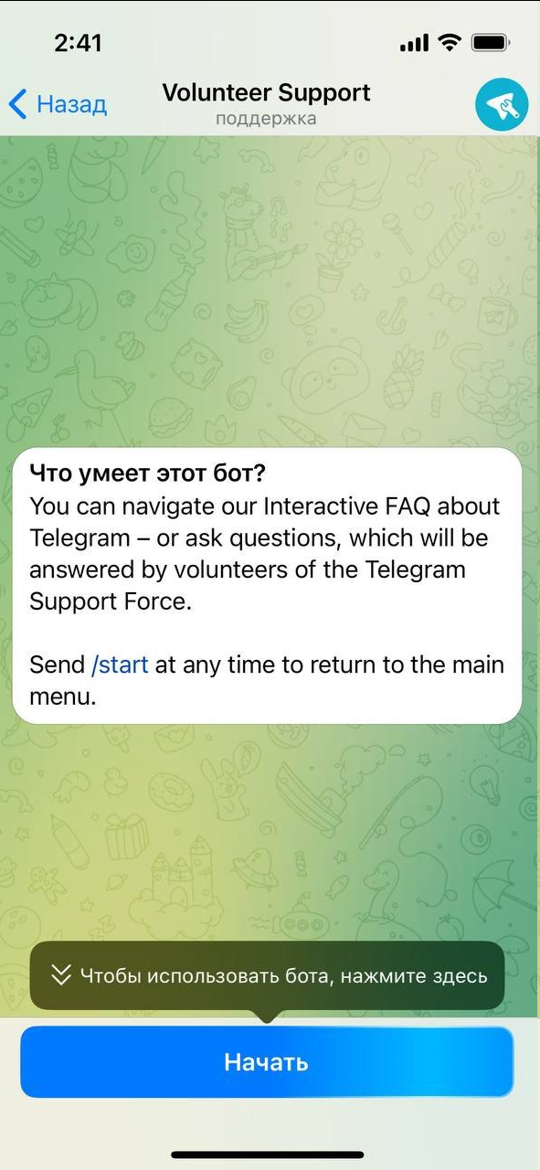 Источник: скриншот настроек в Telegram на iPhone