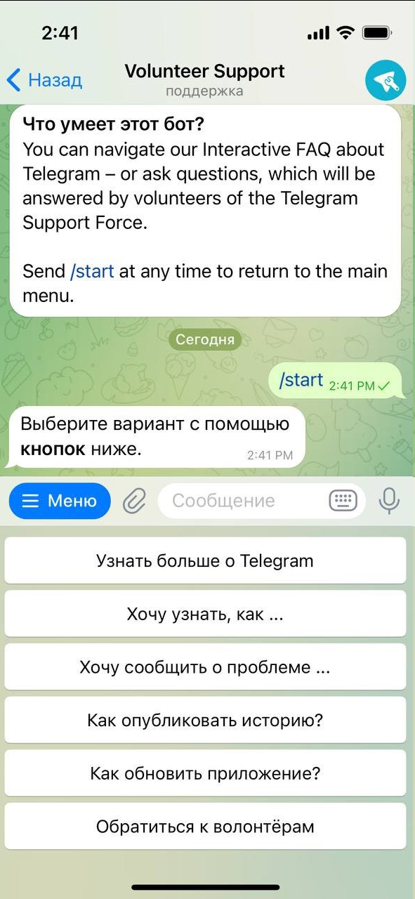 Источник: скриншот настроек в Telegram на iPhone