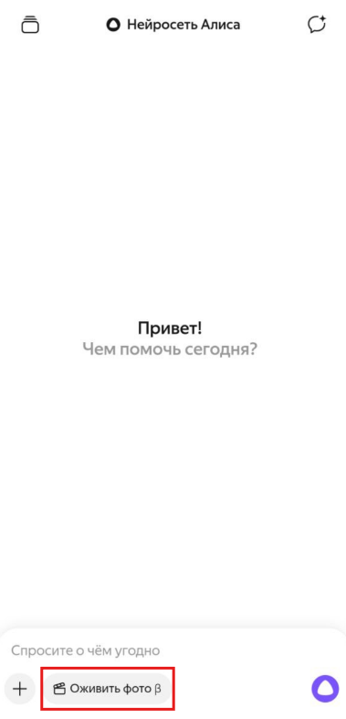 Источник: скриншот интерфейса приложения Алиса на смартфоне