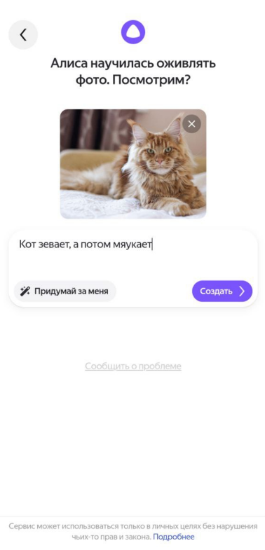 Источник: скриншот интерфейса приложения Алиса на смартфоне