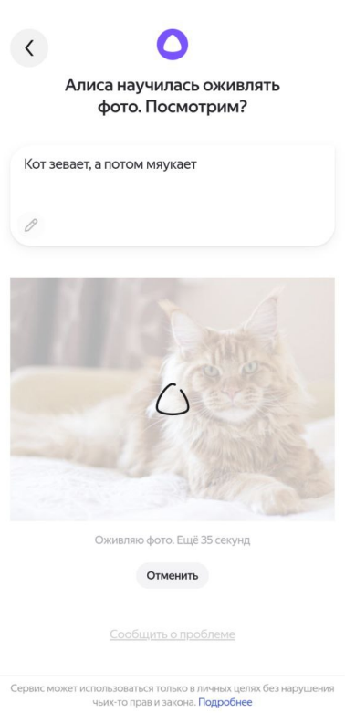 Источник: скриншот интерфейса приложения Алиса на смартфоне