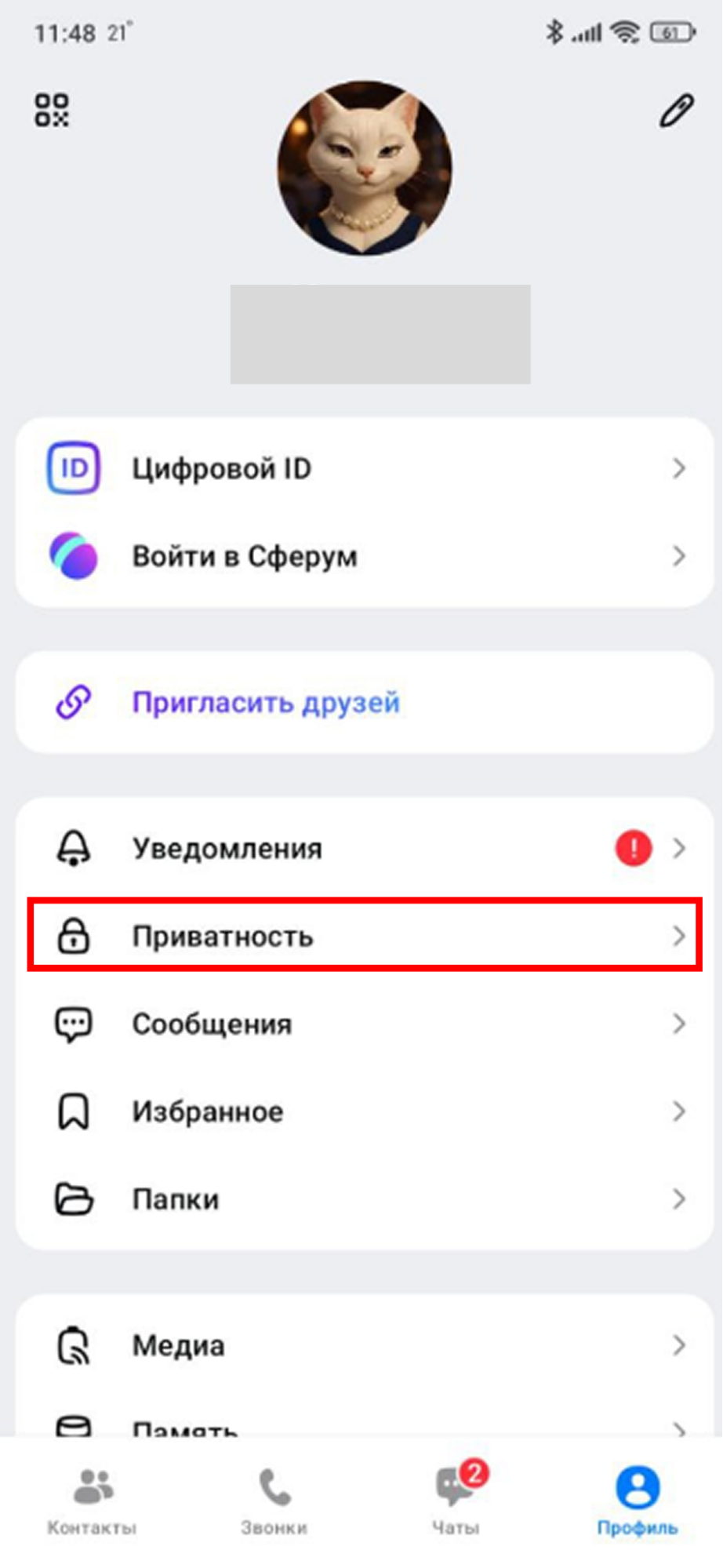 Источник: скриншот интерфейса приложения Max