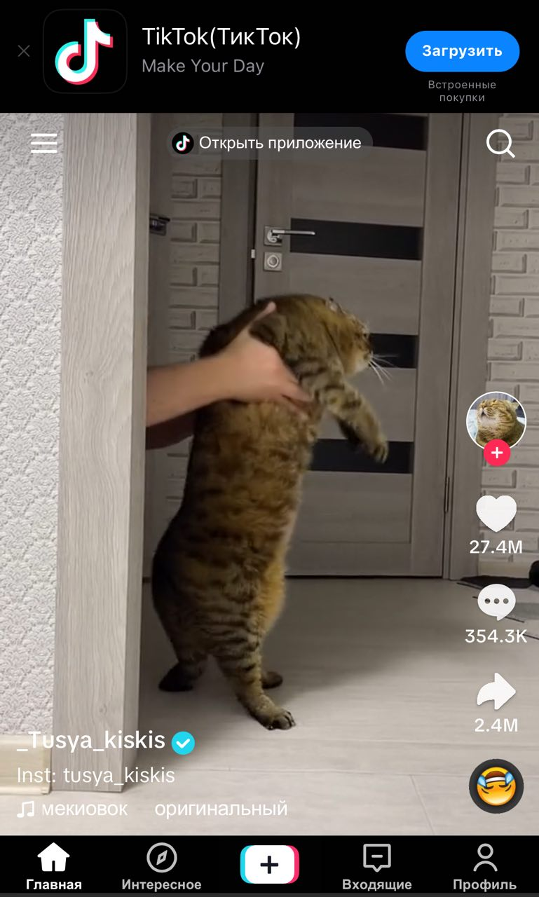 тикток режим инкогнито