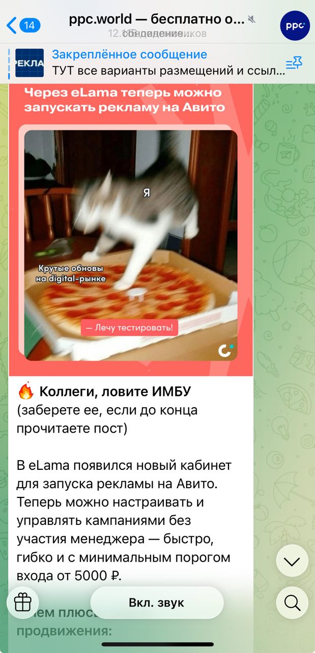 Пример использования «Спойлера» / Источник: Telegram-канал ppc.world Как заблюрить текст в Тг