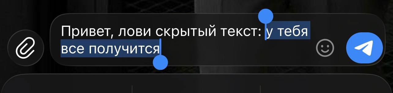 Как сделать текст скрытым в личных сообщениях Telegram скрытие текста в группе Telegram