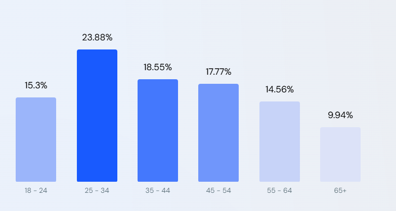 аудитория рутуб 2025