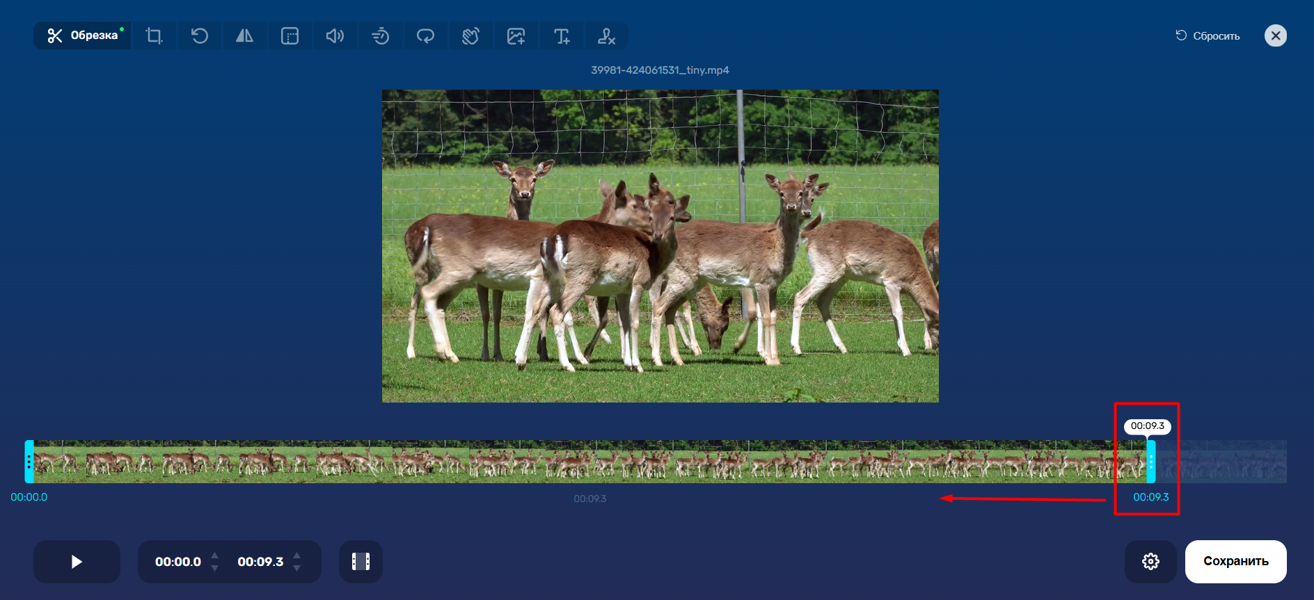 Источник: скриншот интерфейса 123APPS
