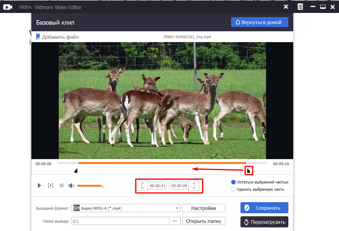 Источник: скриншот интерфейса Vidmore
