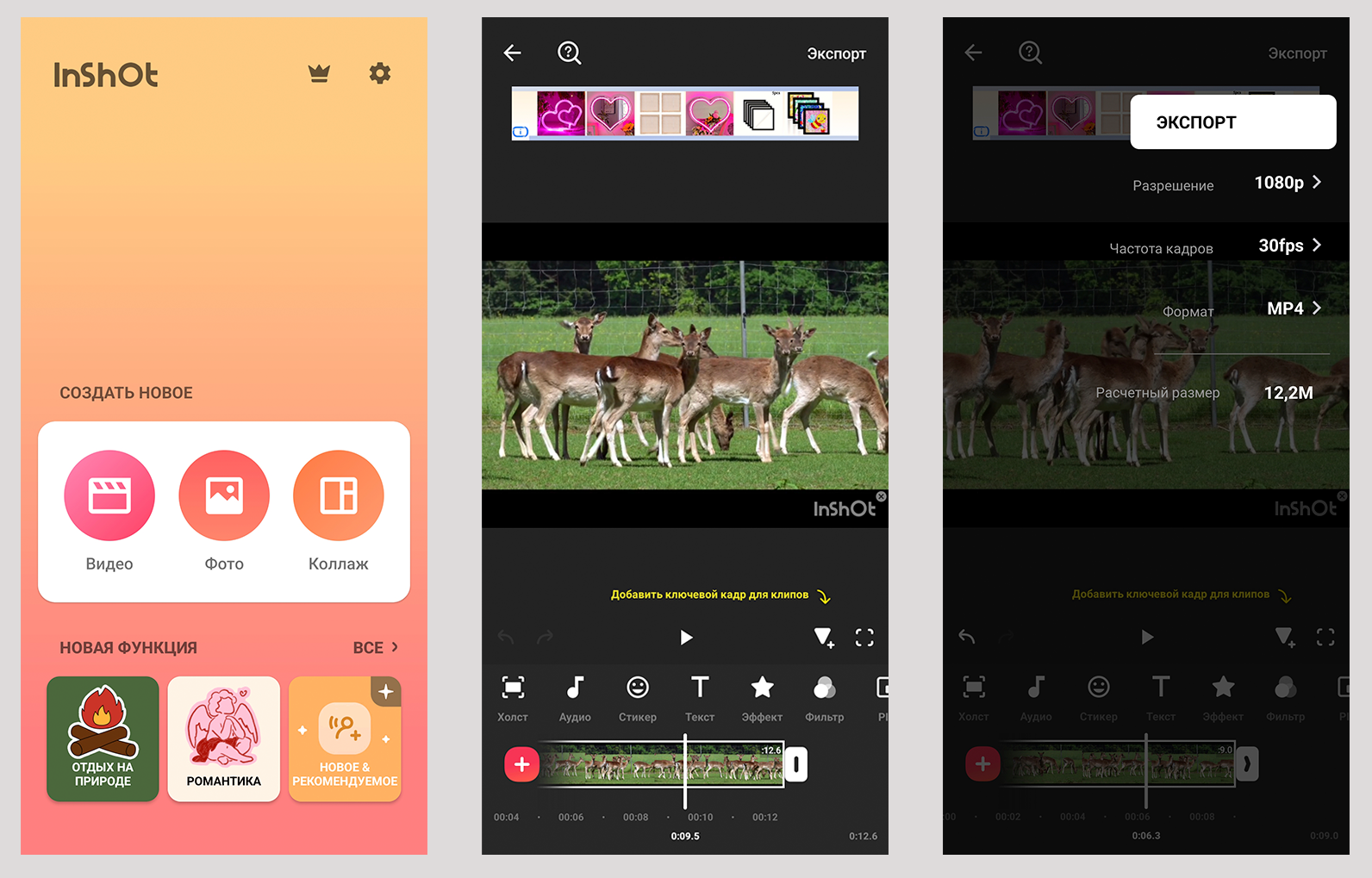 Источник: скриншот интерфейса InShot
