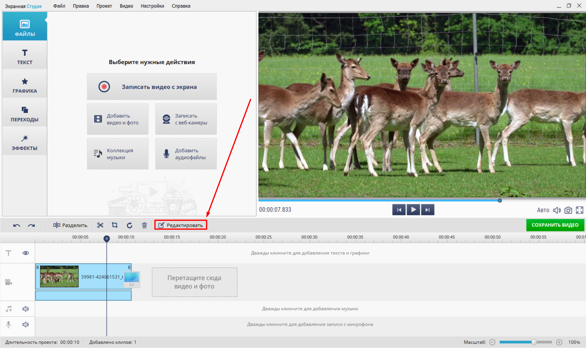 Источник: скриншот интерфейса «Экранной Студии»