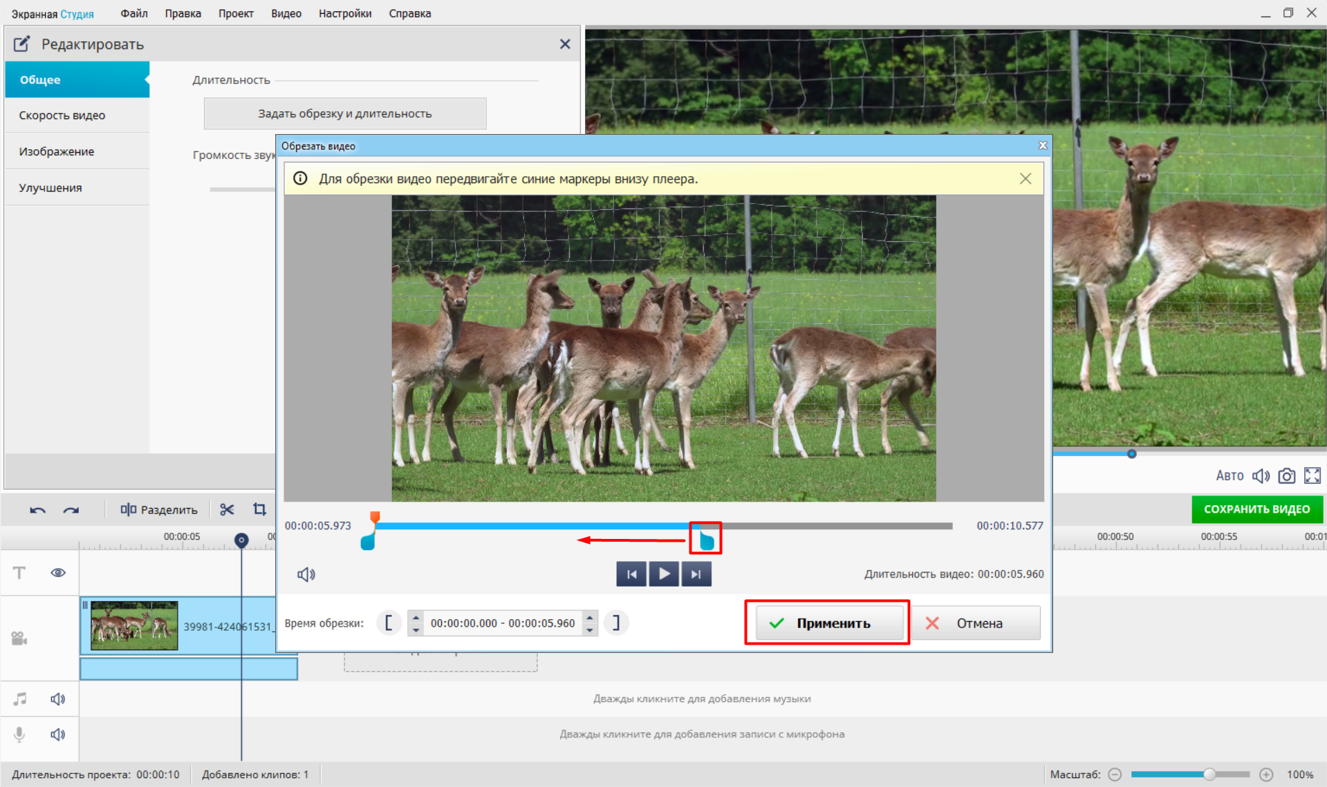 Источник: скриншот интерфейса «Экранной Студии»