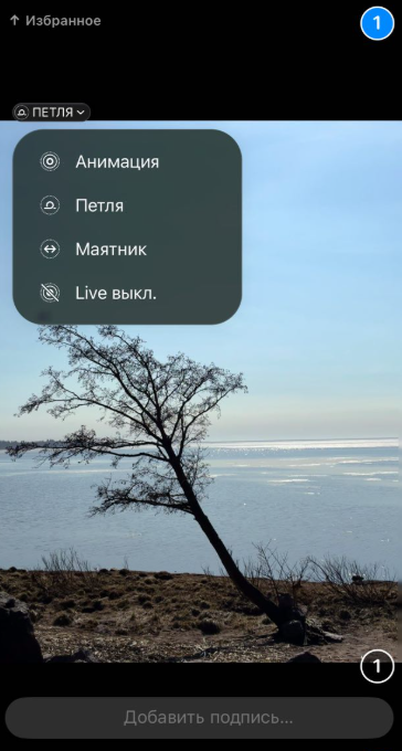 Отправка живого фото / Источник: скриншот приложения Telegram