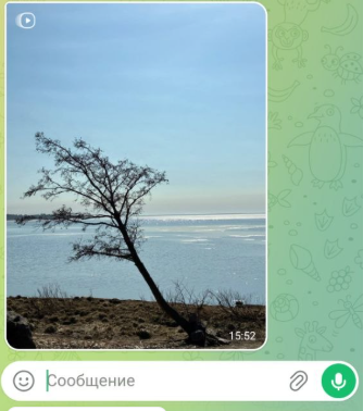 Воспроизведение живого фото / Источник: скриншот приложения Telegram